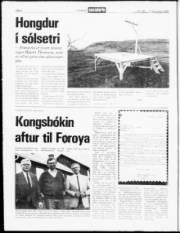 Síða 6