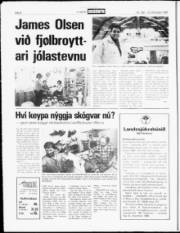 Síða 8