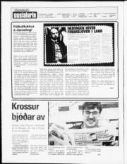Síða 2