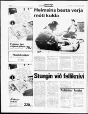 Síða 4