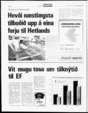Síða 6
