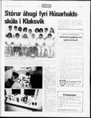 Síða 18