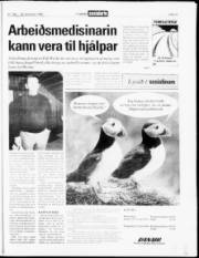 Síða 14