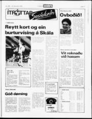 Síða 18