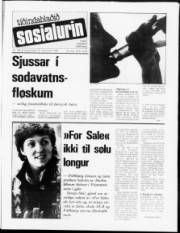 Síða 1