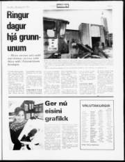 Síða 5