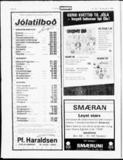 Síða 13