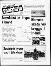 Síða 1