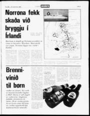 Síða 3