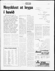 Síða 5