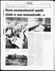 Síða 17
