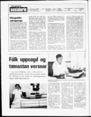 Síða 2