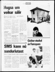 Síða 7