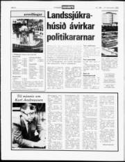 Síða 4