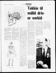 Síða 11