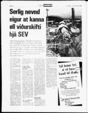 Síða 15