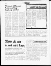 Síða 19