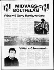 Síða 24