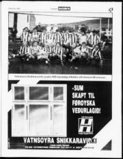 Síða 28