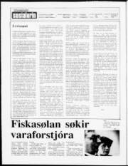 Síða 2