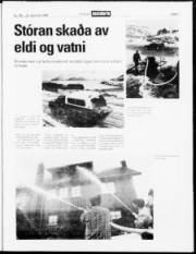 Síða 3