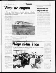 Síða 5