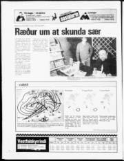 Síða 15