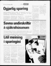 Síða 3