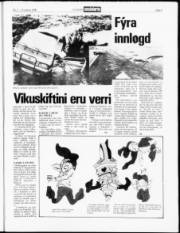 Síða 5