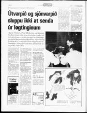 Síða 6