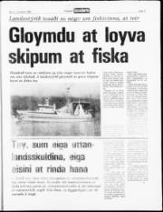 Síða 11