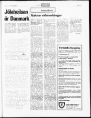 Síða 19