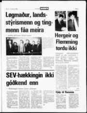 Síða 3