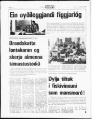 Síða 14
