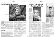 Síða 6