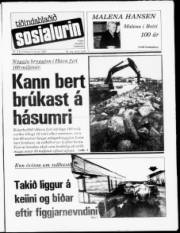 Síða 1