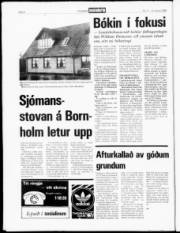 Síða 4