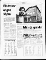Síða 5