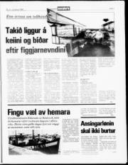 Síða 7