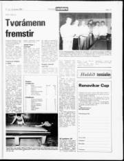 Síða 19