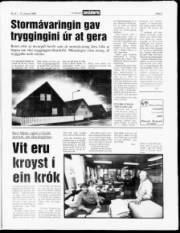 Síða 3