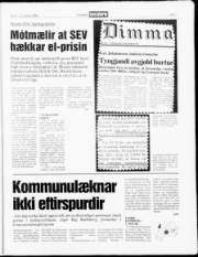 Síða 7