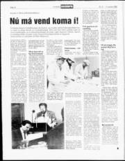 Síða 10