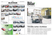 Síða 10