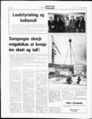 Síða 13