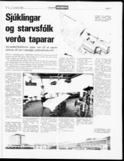 Síða 14
