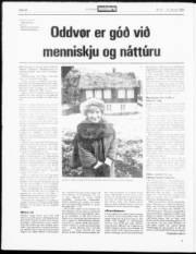 Síða 19