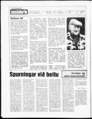 Síða 2