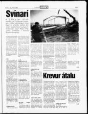 Síða 3