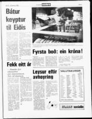 Síða 5